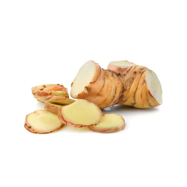 The best price of Dried Galangal slices in water as herb and health supplement good for your blood From Thailand