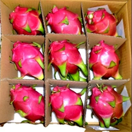 
The Top Cheap Price For White Dragon Fruit Shipping From Turkey Have Light Sweeten Taste 
