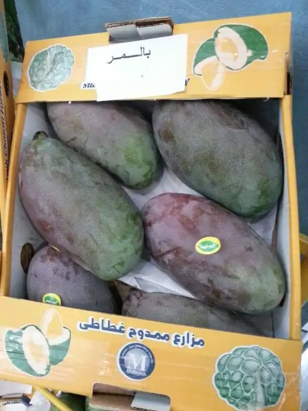 Новый Урожай манго