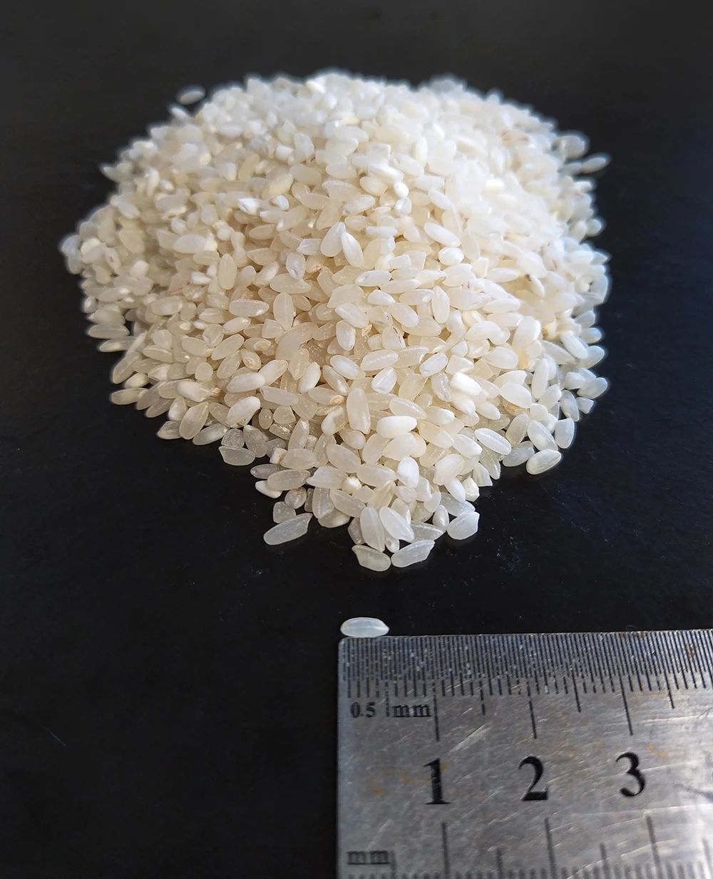 
Premium rice round grain, wholesale, white rice for sushi, cheapest price 