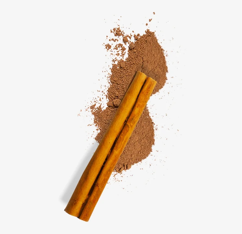 Good price 100% From Vietnam High Quality pure Cinnamon natural cinnamon