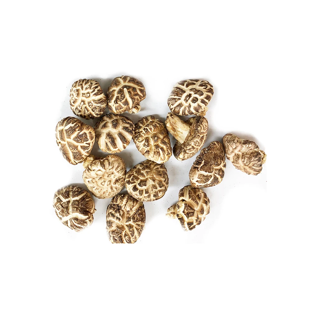 
Vegan Japanese food Wild Brown Dried frozen champignon mushrooms 