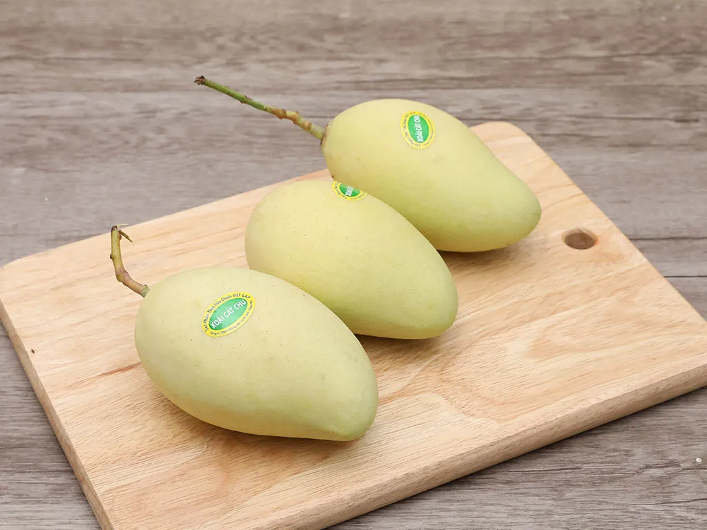 Fresh Mango Vietnam Mango EU Quality Mangos with High Quality Low MOQ
