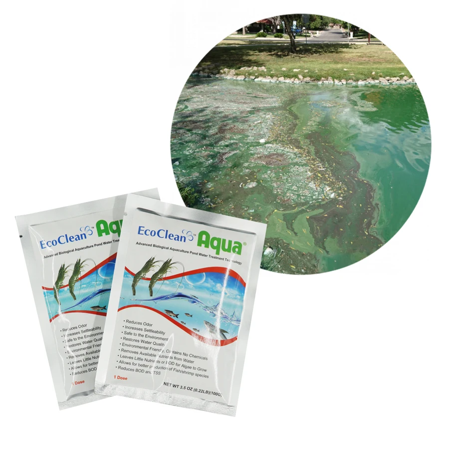 Controlling Algae Aquaculture Pond - EcoClean Aqua - 12 Packages - 100 Gram / Pack