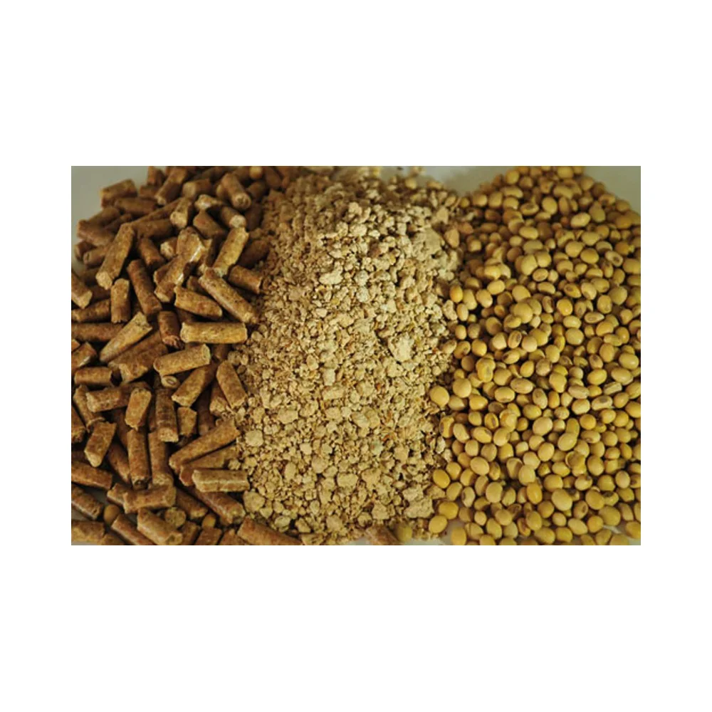 Premium Grade Soybean Meal 48%Protein for Animal Feed/Organic Soybean Meal for sale
