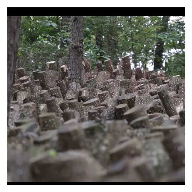 Уксус пермана 500 мл лучший корейский полезный фруктовый экстракт напиток сушеный и консервированный продукт уксуса