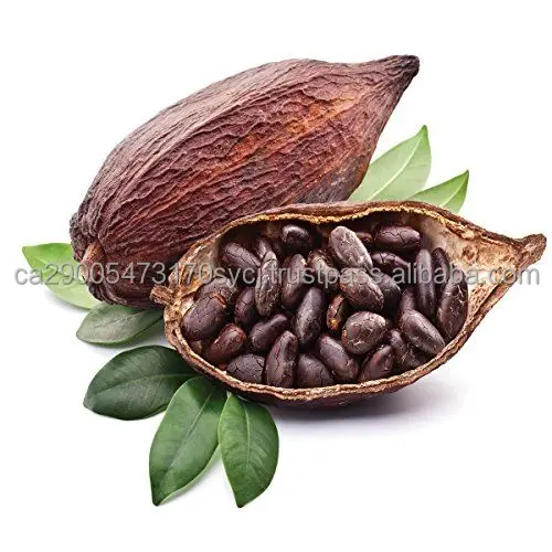 coco.jpg