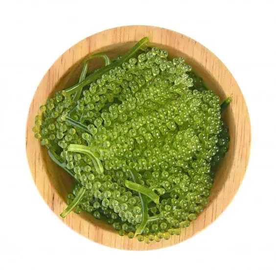  Хорошая пища вьетнамские продукты сертификат Великобритании натуральный из Вьетнама (Ms Деми + 84 961733400)