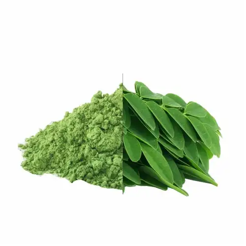 100% Organic Pure Moringa Leaf Extract Powder and Capsules From Indian Manufacturers