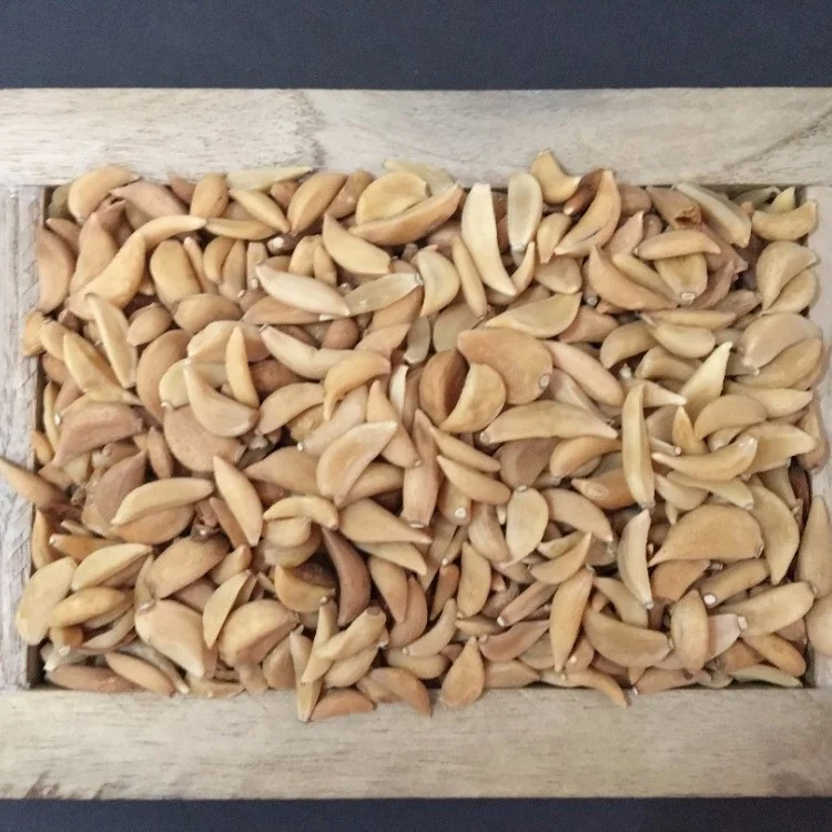 
Exporters of Dried Garlic Cloves From India 