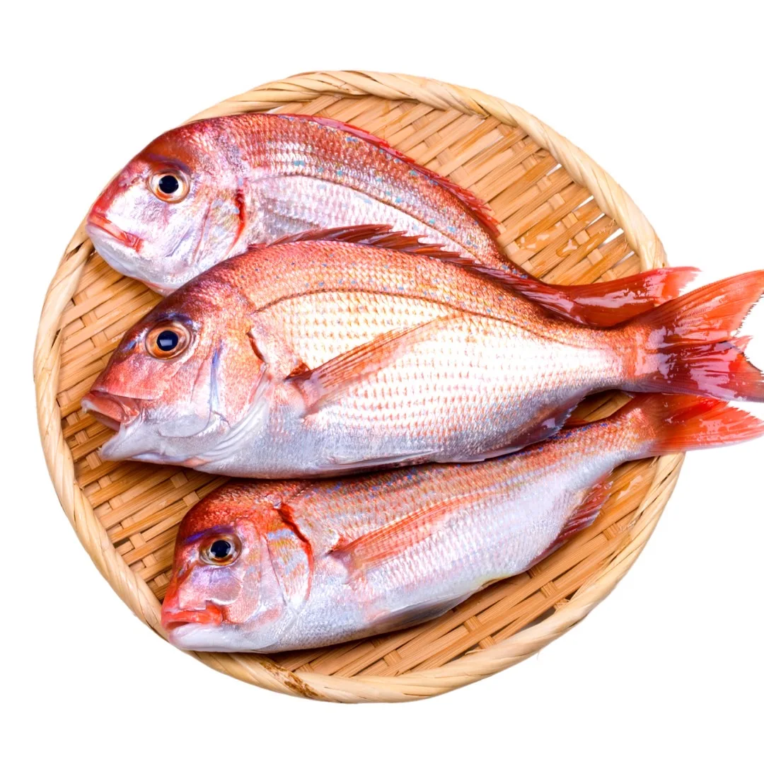 Японская рамен на мгновенной основе суповая основа seabream просто вылейте горячую