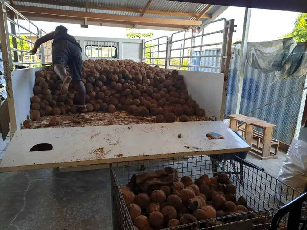 Desiccated Coconut 25kg bag high quality food ingredient