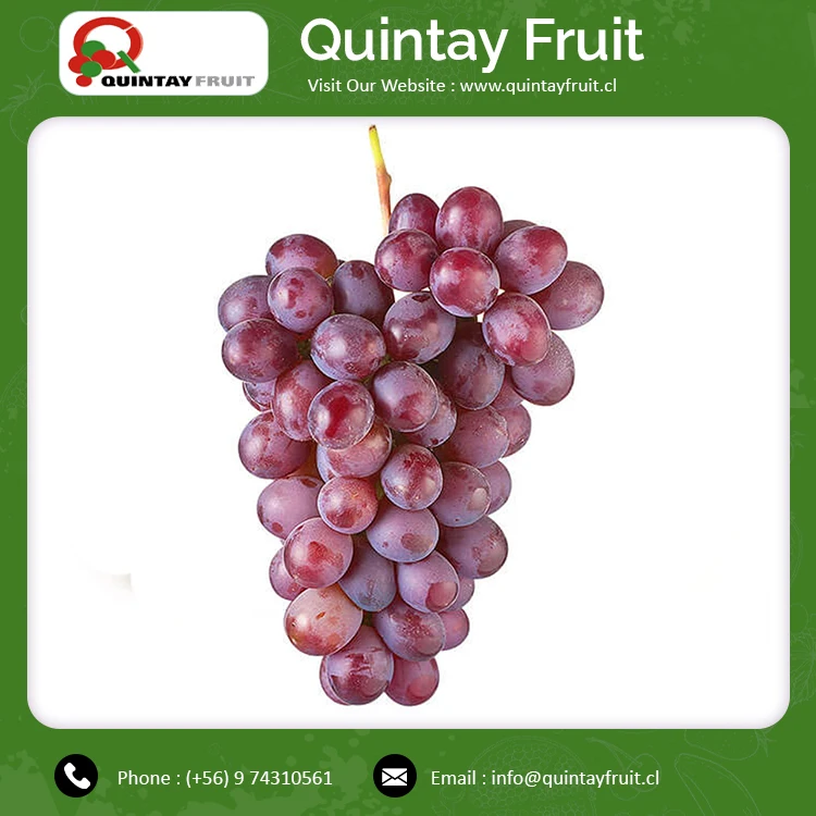 Crimson Seedless Grapes Best Quality Red Grape Seedless Fresh Grape Fresh Fruit Crimson Seedless