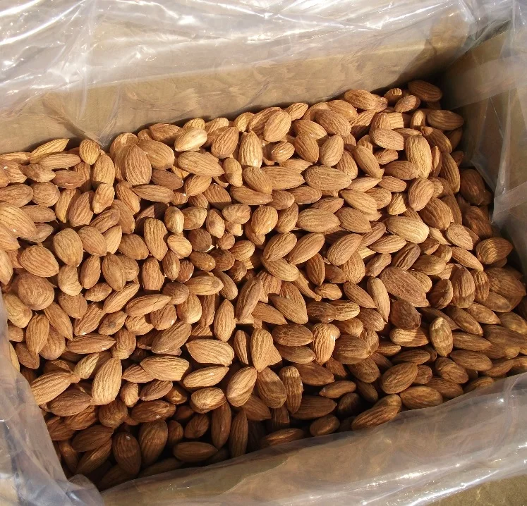 DRY ALMOND NUTS WITH EXCELLENT QUALITY