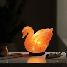 duck.jpg