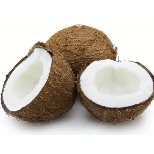 
100% Natural Wholesale Coconut /semi Husked Fresh Matured Coconut 