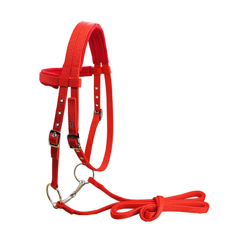 
Custom brand logo Best Price Horse Halter For Horses Riding Racing Equipment Training Rope 