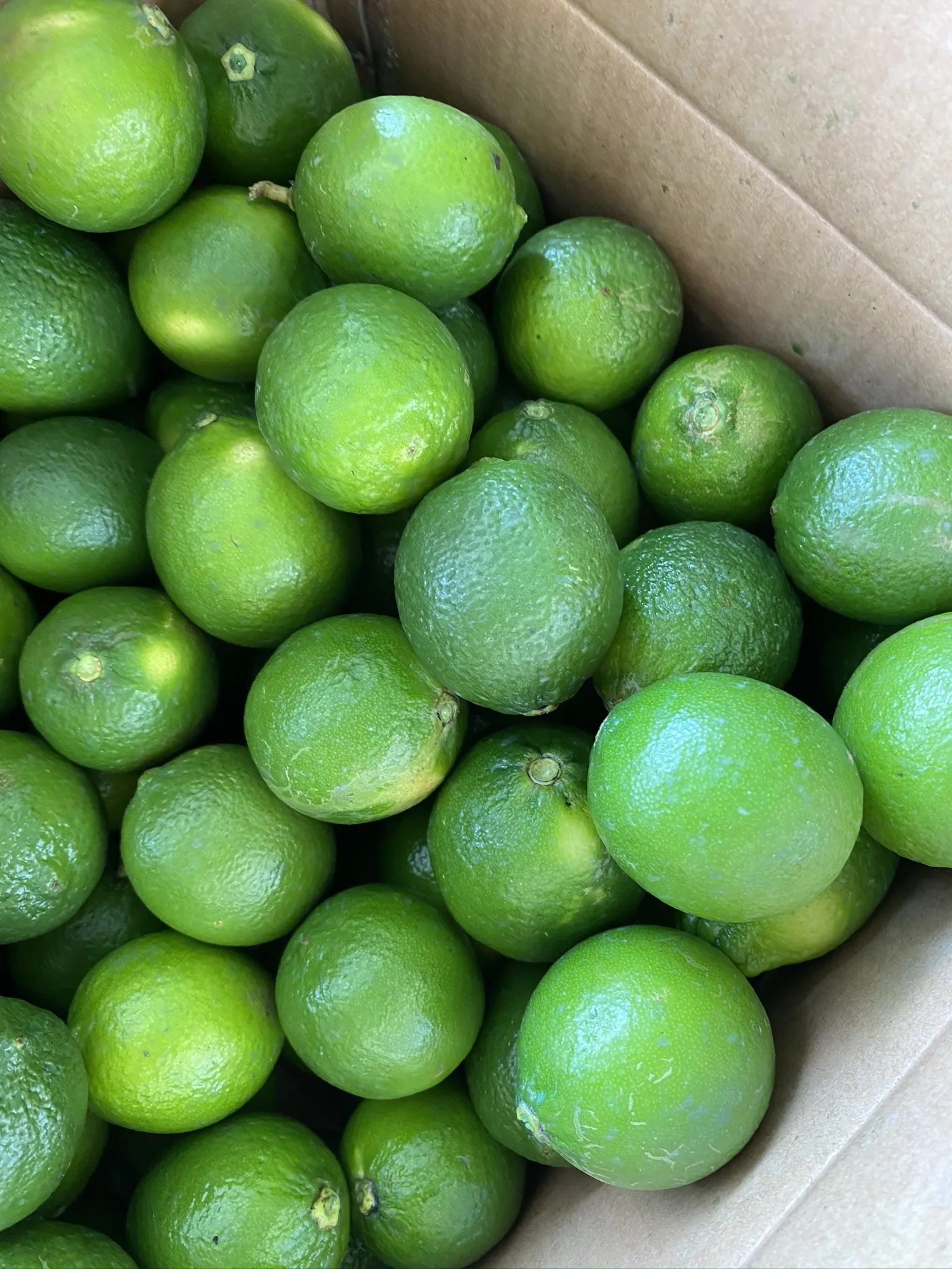 Green Sour Lime Fresh Citrus Fruit/ Fresh Lemon Seedless WA: 0084 387 264 621