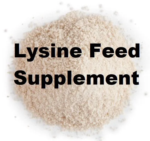 
Poultry Broiler Feed Raw Materials - L Lysine 25kg Bag L-lysine HCL 98.5% 