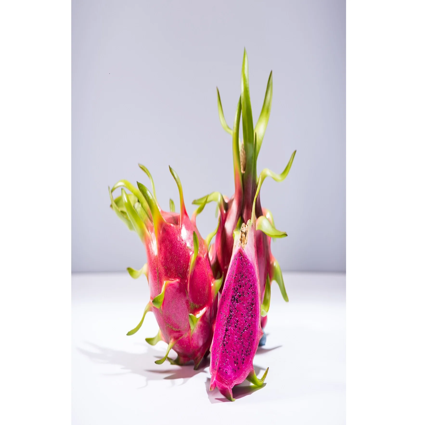 4.5kg/box Packaging Red and Green Sweet Taste Red flesh/ White flesh Variety Dragon fruit Export From Vietnam