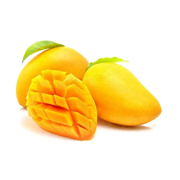 
Egyptian Fresh Mango Supliets Raw Mango Green Mango From Egypt 