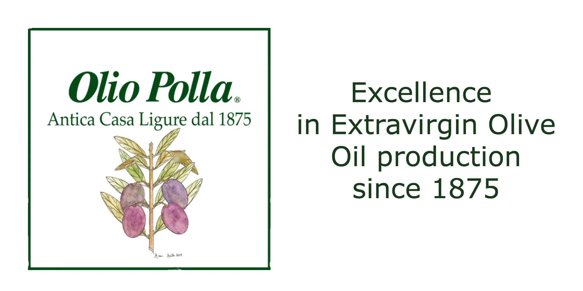 Italian superior quality Taggiasco Extra-virgin Olive oil Polla since 1875 - unfiltered 0.5L