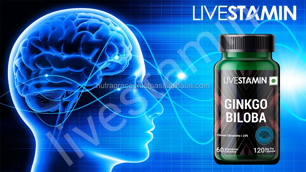 Ginkgo Biloba Leaf Extract Capsules Brain Memory Booster Supplement 24% Flavones Glycosides Premium Private Label GMP ISO