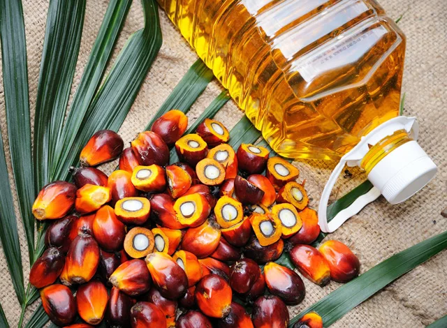 Palm-oil-usage.jpg