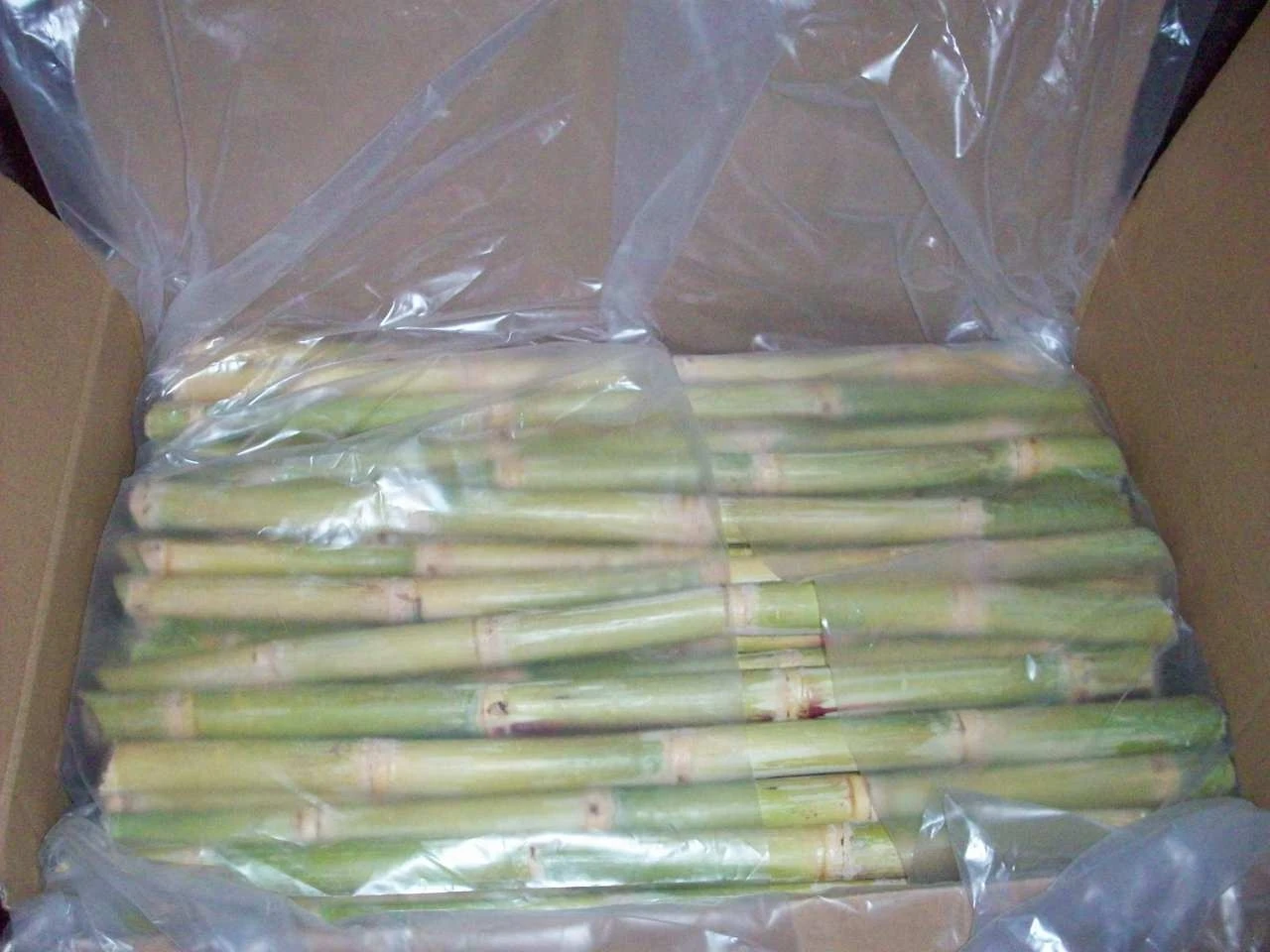 Viet nam frozen sugar cane +84 845 639 639