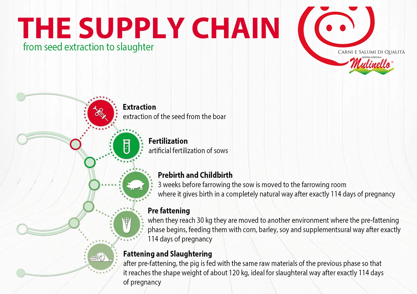 Сделано в Италии, пищевые продукты высокого качества, свиное мясо, PGI, сантоанджело, салями, колбаса