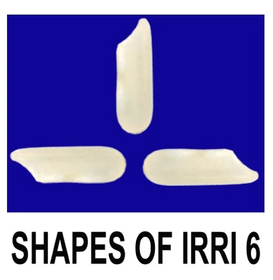 Pure Natural Pakistan wholesale 2% Broken IRRI-6  White Long Grain Rice From Trusted Producers