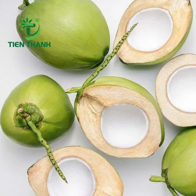 Young Green Xiem Coconut From Viet Nam
