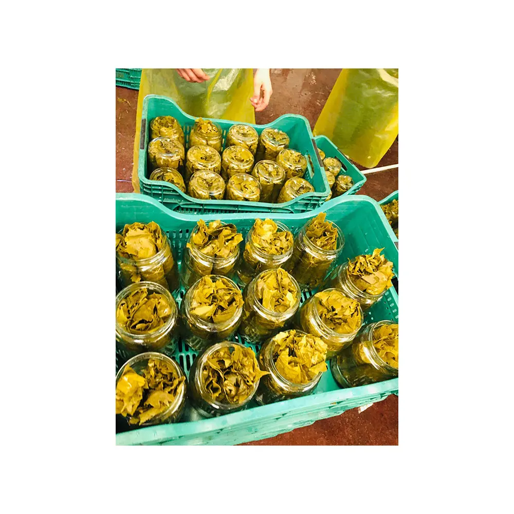 
Best Quality Grape Leaves in Brine 
