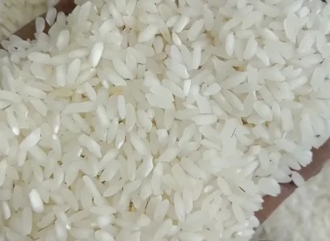 
Premium Quality Indian Swarna Raw Rice 