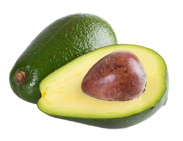 Premium Quality Best Grade 100% Pure Avocado Grain Seller From India
