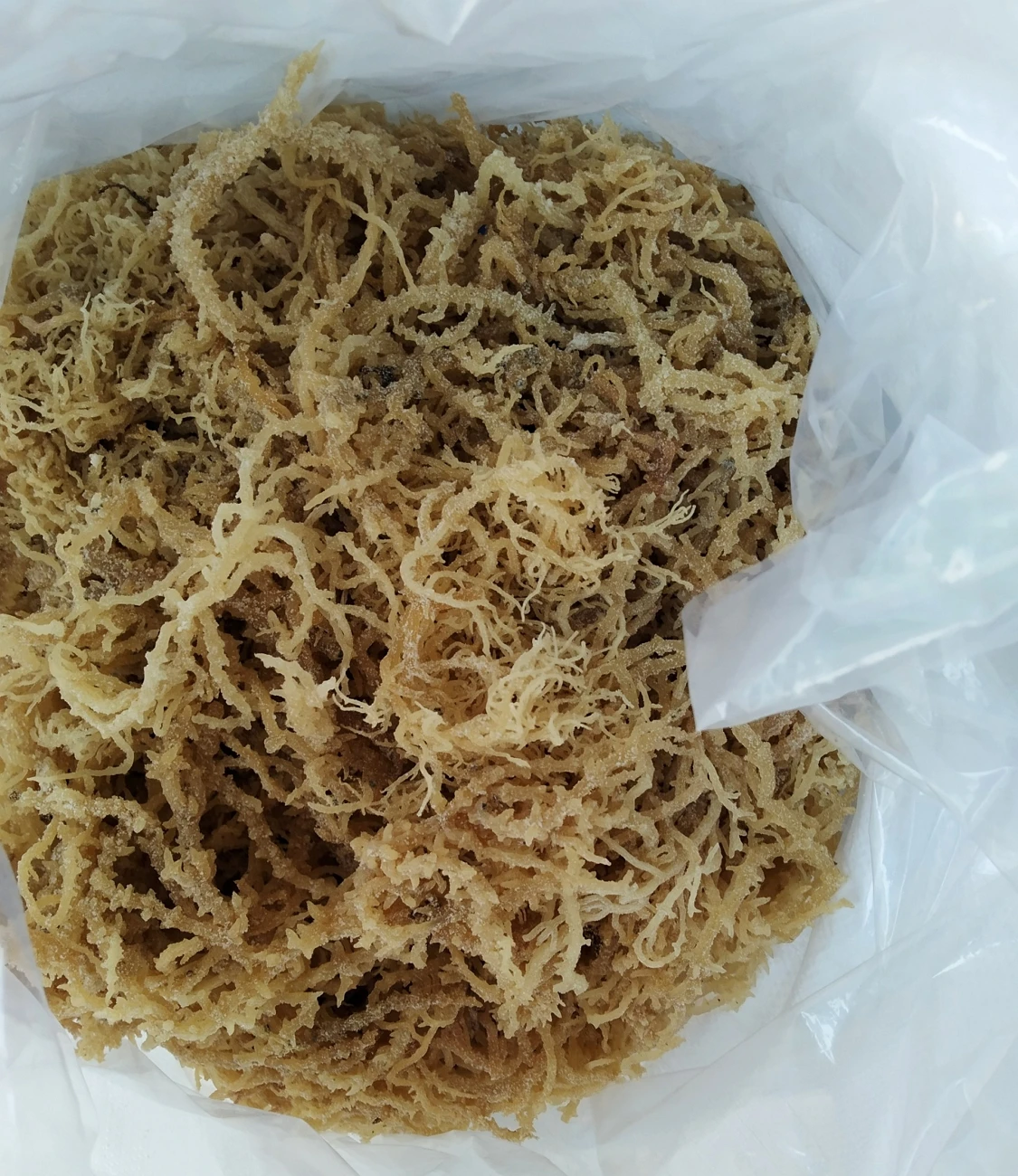 
High quality dried eucheuma cottonii seaweed / irish sea moss 
