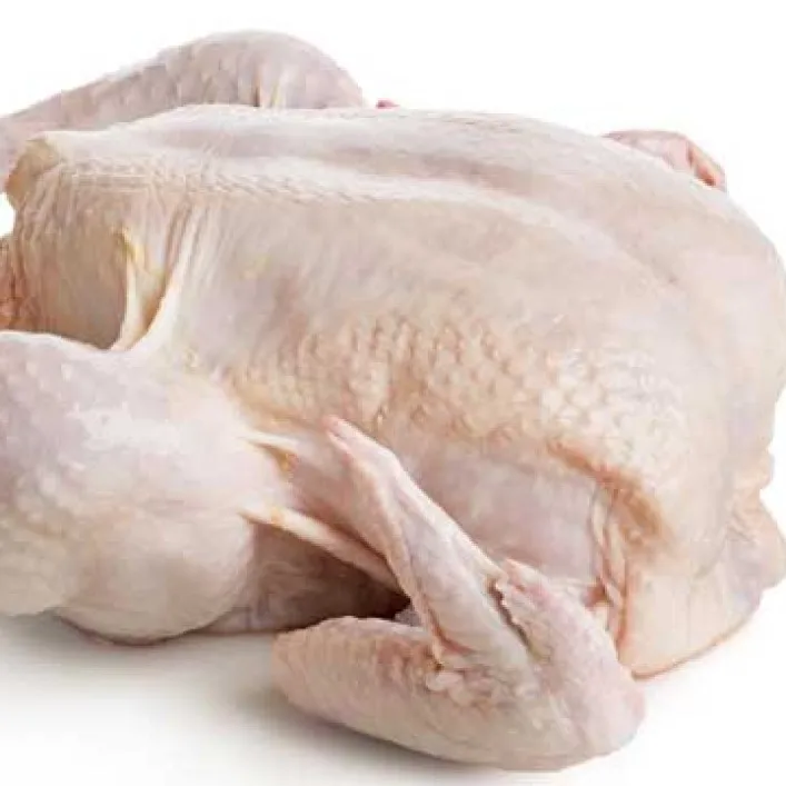 Frozen Whole Halal Chicken  for best price