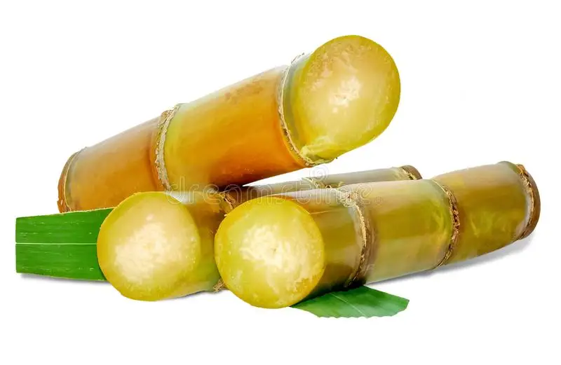 Хит продаж, сельскохозяйственная продукция, оптовая продажа, вес 20 кг, замороженный сахарный тростник натурального цвета из Вьетнама