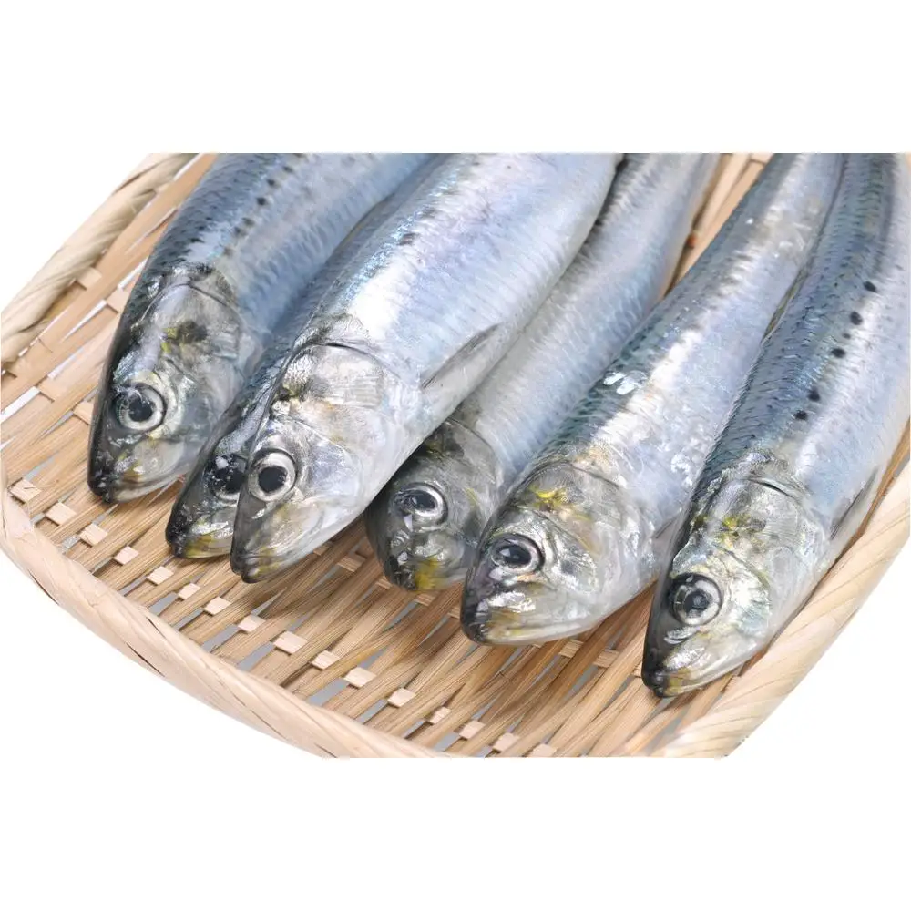 
Good Price Frozen Sardine Whole Round for Sale 
