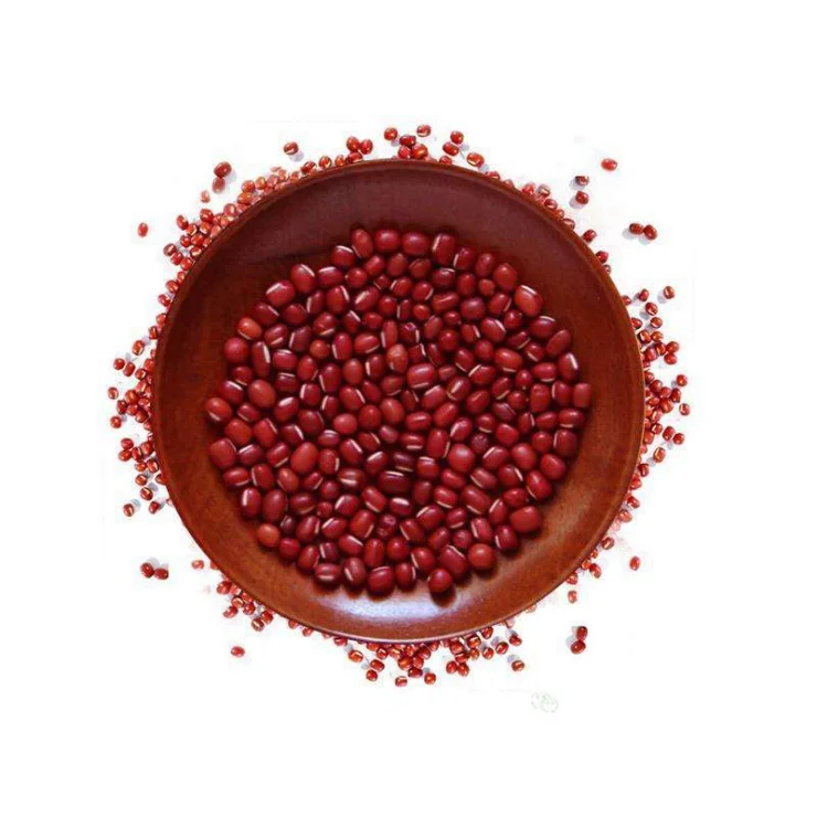 
Small Red Adzuki Beans (Vigna Angularis, Red Mung Bean, Azuki Beans) 