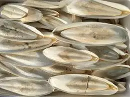 Cuttlefish Bone Dried/ Cuttlefish Bone With Low Price/ Ms.Selena +84906086094