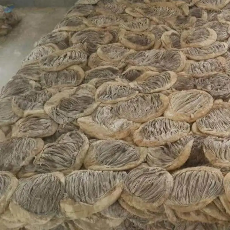 Sale Halal Grade AA Beef Salted Omasum