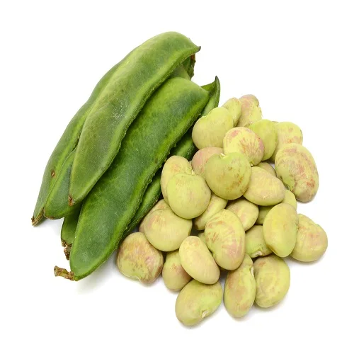 
Wholesale Lima Beans Bulk 