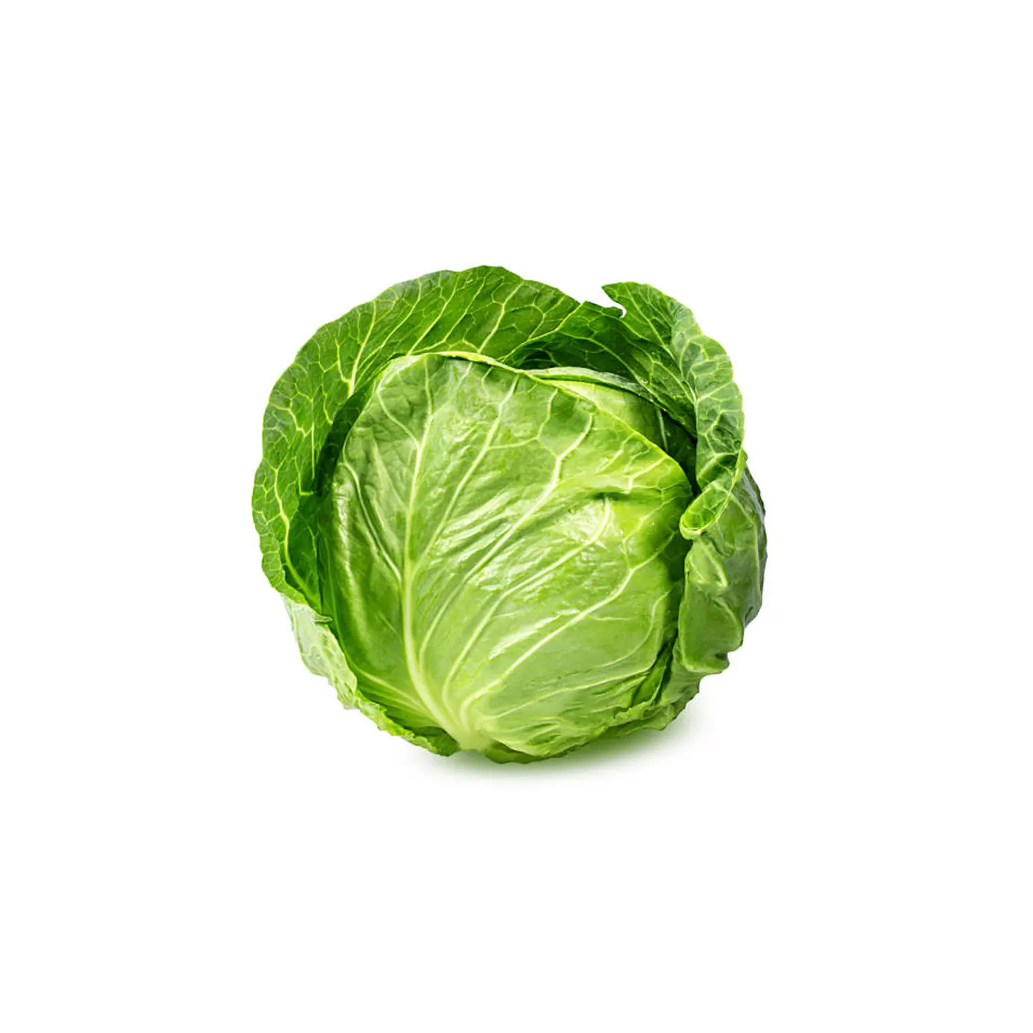 Свежая Зеленая капуста по низкой цене