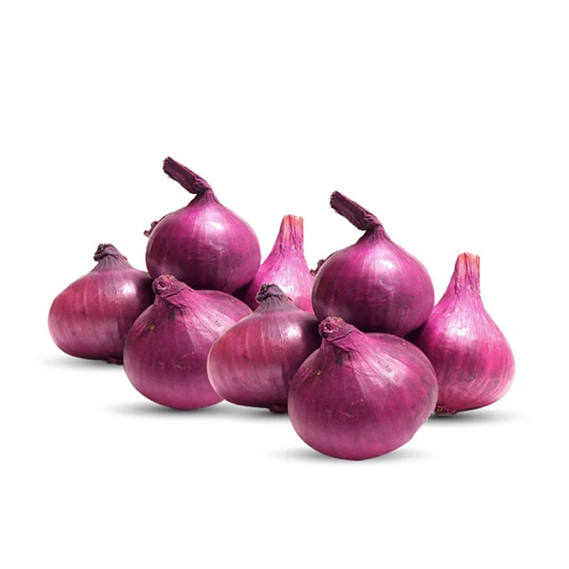 Shallot for Export / Fast delivery and Quick response / Wholesale from Vietnam