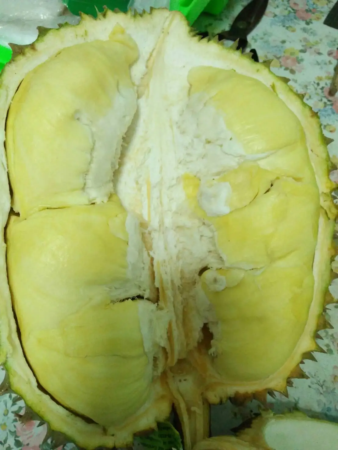 Fresh Durians Monthong From Thailand