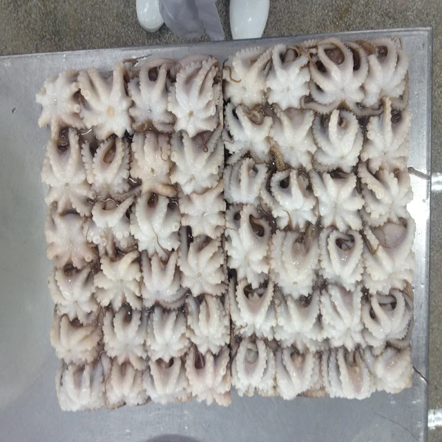 
Frozen Cut Baby Octopus/Baby Octopus 