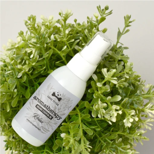  Корейский ПЭТ ароматические эфирные масла флакон с распылителем