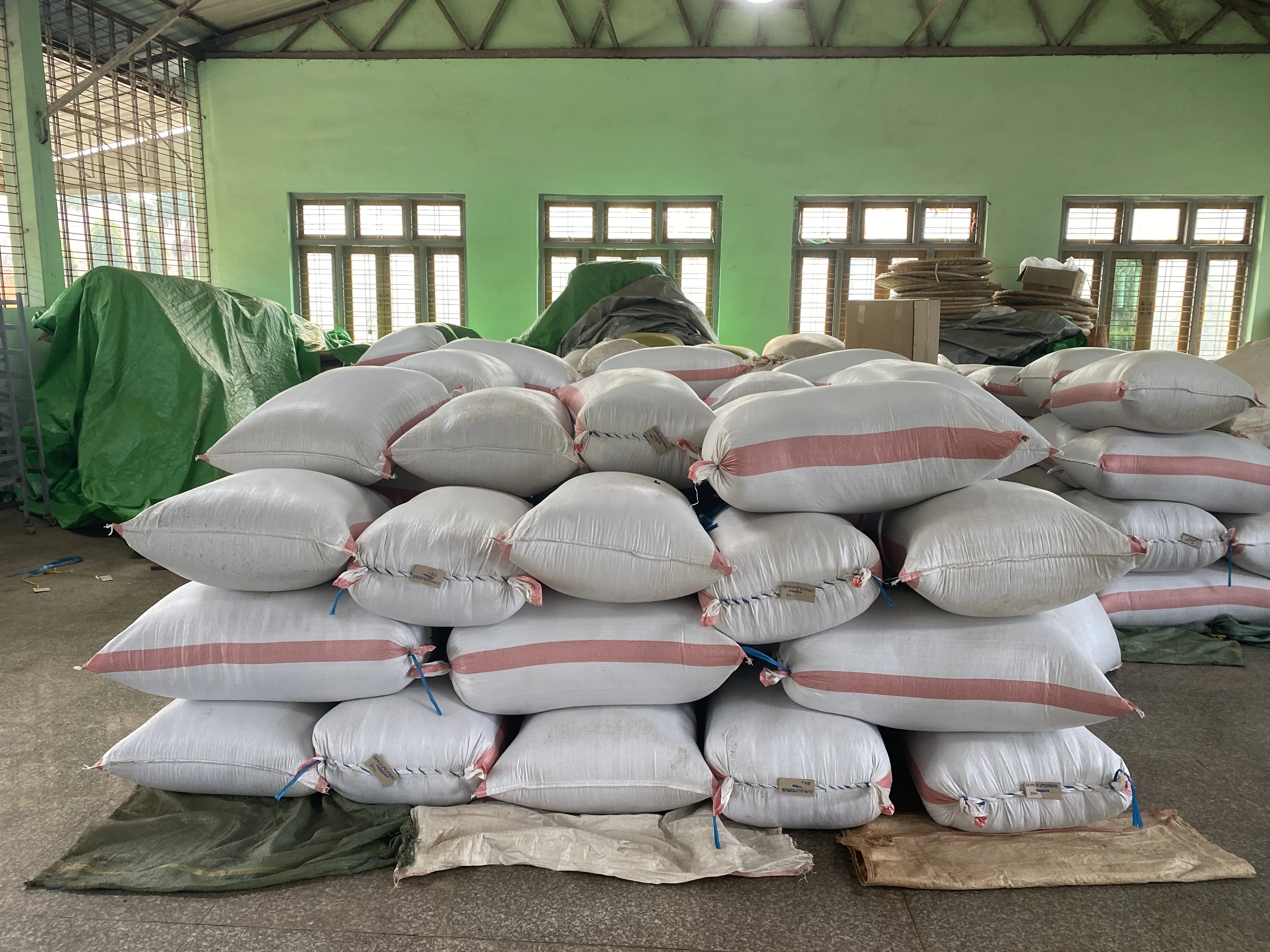 Machine-Dried Natural Green Tea (Grade B) from Shan State Myanmar great for reducing cholesterol level and boost immune system