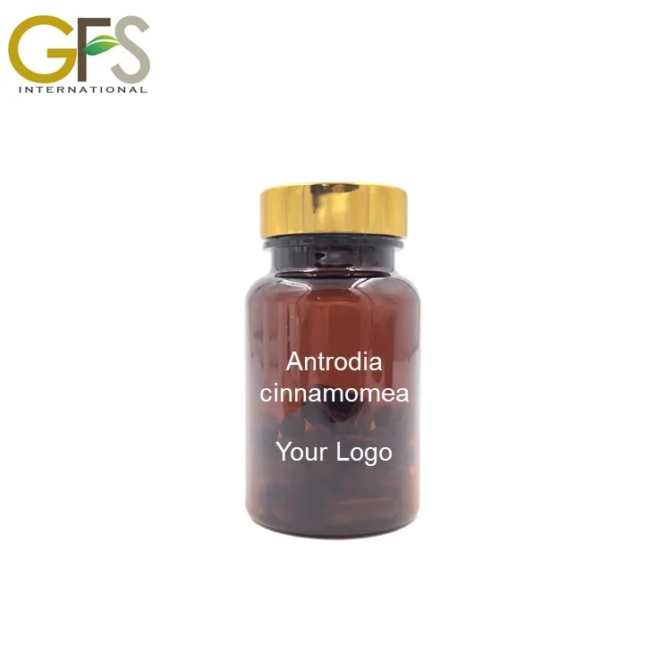 Оптовая продажа, безвредные продукты Antrodia camphorata